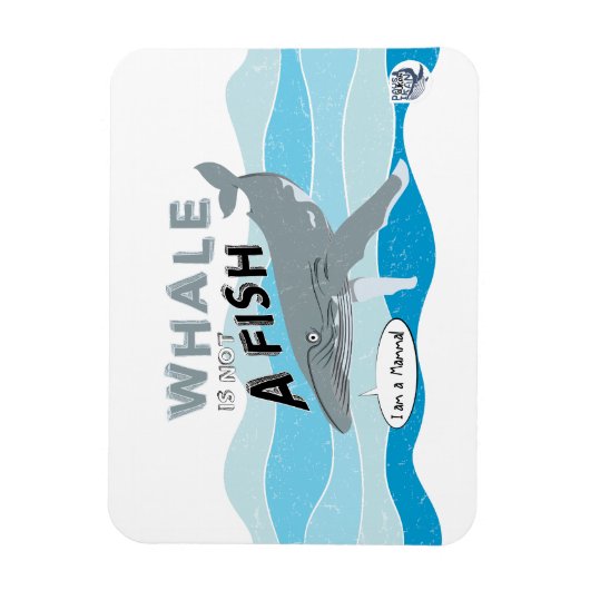 Whale is not a fish magnet (Vertikal)