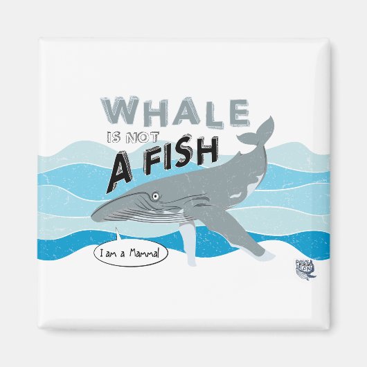Whale is not a fish magnet (Vorne)
