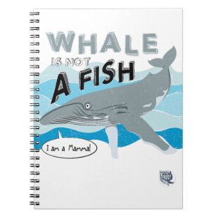 Whale is not a fish notizblock