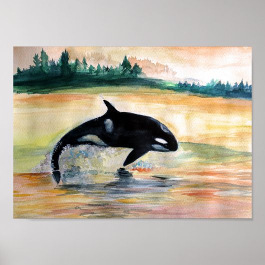 Whale Jumping Orca Value Poster Paper (Matte) (Vorne)