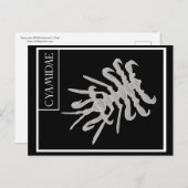 Whale Louse Postkarte (Vorne/Hinten)