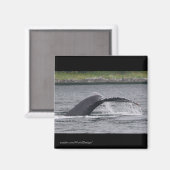Whale Magnet (Vorderseite/Rückseite)