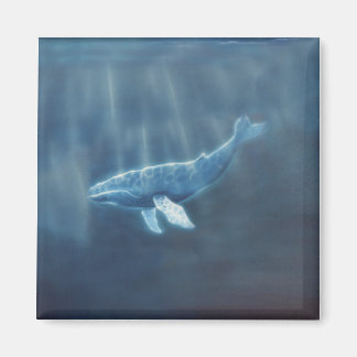 Whale Magnet