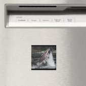 Whale Magnet (In Situ (Geschirrspüler))