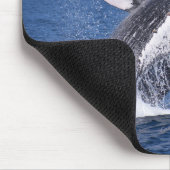 Whale Mousepad (Ecke)