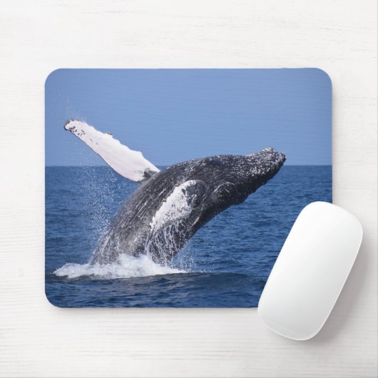 Whale Mousepad (Mit Mouse)