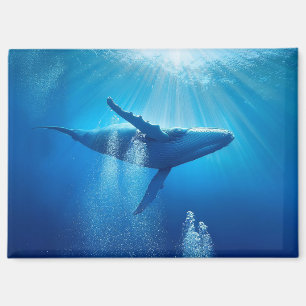 Whale Ozeane Natur Blaues Wasser Magnet