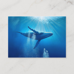 Whale Ozeane Natur Blaues Wasser Visitenkarte