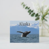 Whale Playtime; Alaska Postkarte (Stehend Vorderseite)