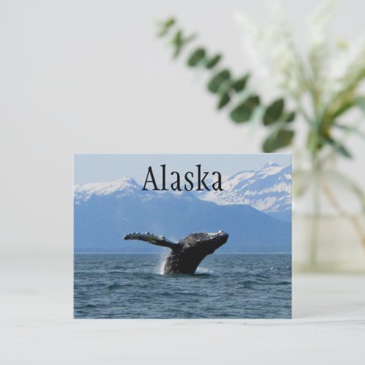 Whale Playtime; Alaska Postkarte (Stehend Vorderseite)