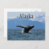 Whale Playtime; Alaska Postkarte (Vorne/Hinten)
