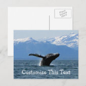 Whale Playtime; Personalisierbar Postkarte (Vorne/Hinten)