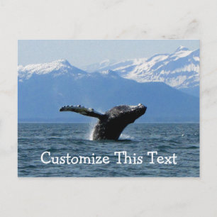 Whale Playtime; Personalisierbar Postkarte