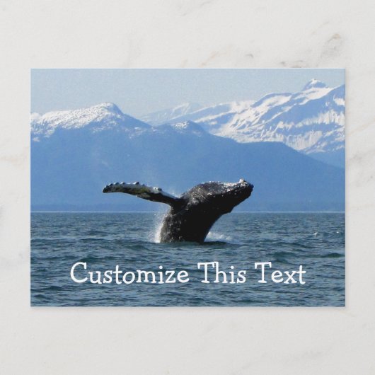 Whale Playtime; Personalisierbar Postkarte (Vorderseite)