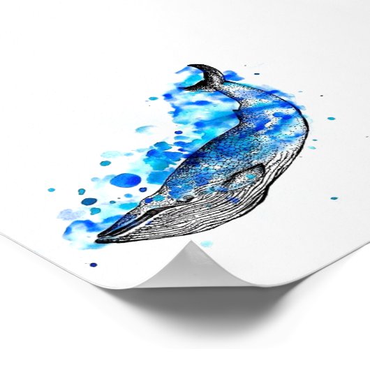 Whale Poster (Ecke)