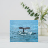 Whale Postkarte (Stehend Vorderseite)
