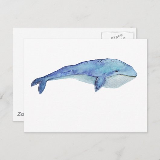 Whale Postkarte (Vorne/Hinten)