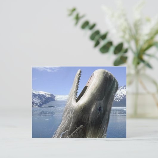 Whale Postkarte (Stehend Vorderseite)