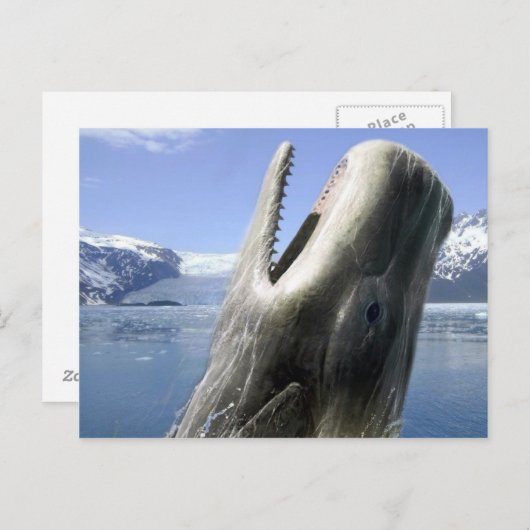 Whale Postkarte (Vorne/Hinten)