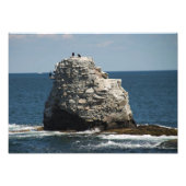 Whale Rock Fotodruck (Vorne)
