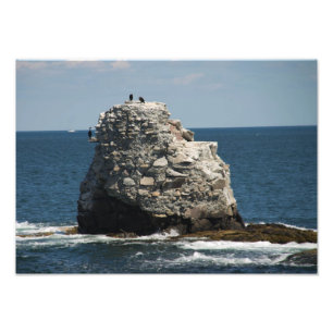 Whale Rock Fotodruck