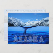 Whale Schwanz Alaska - Postkarte (Vorne/Hinten)