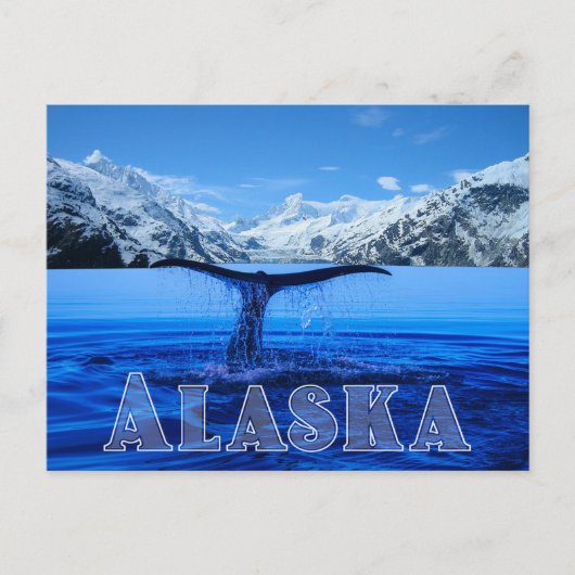 Whale Schwanz Alaska - Postkarte (Vorderseite)