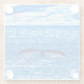 Whale Schwanz Blauer Ozean Glasuntersetzer (Rückseite)