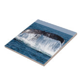 Whale Schwanz Fliese (Seite)