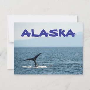 Whale Schwanz Landschaftlich Alaska Postcard Postkarte