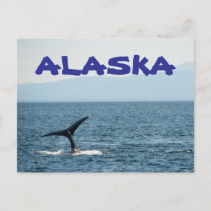 Whale Schwanz Landschaftlich Alaska Postcard Postkarte