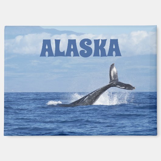 Whale Schwanz Landschaftlich Oceanic Alaska Magnet (Vorderseite)