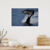 Whale Schwanz Poster (Küche)