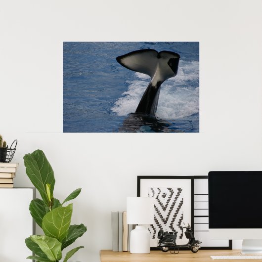 Whale Schwanz Poster (Heimbüro)