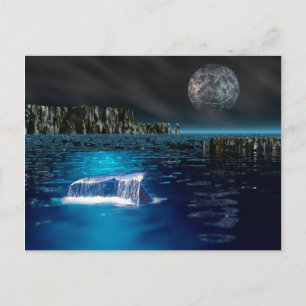 Whale Schwanz Postkarte
