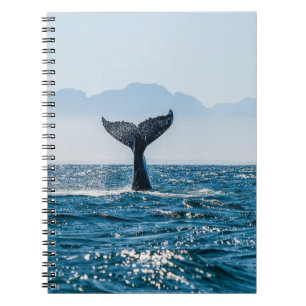 Whale Schwanz Seascape: Dramatisches Wasser. Notizblock