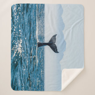 Whale Schwanz Seascape: Dramatisches Wasser. Sherpadecke