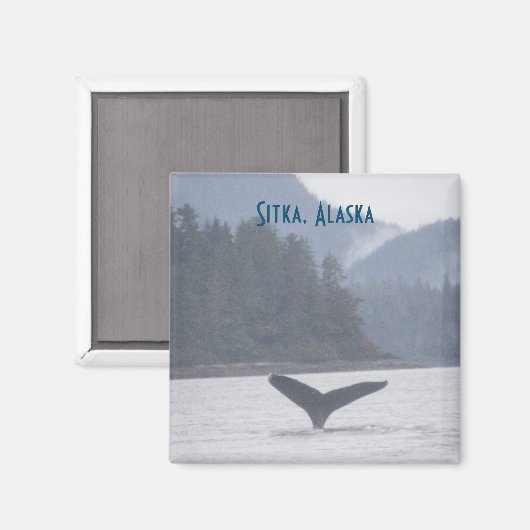 Whale Schwanz Sitka Alaska Magnet (Vorderseite/Rückseite)