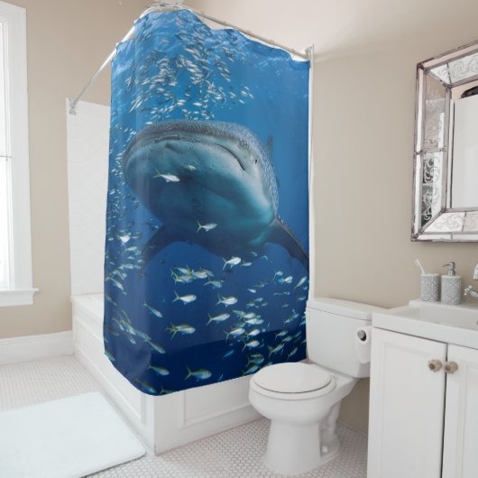 Whale Shark Duwer Vorhang (Beispiel)