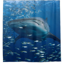 Whale Shark Duwer Vorhang