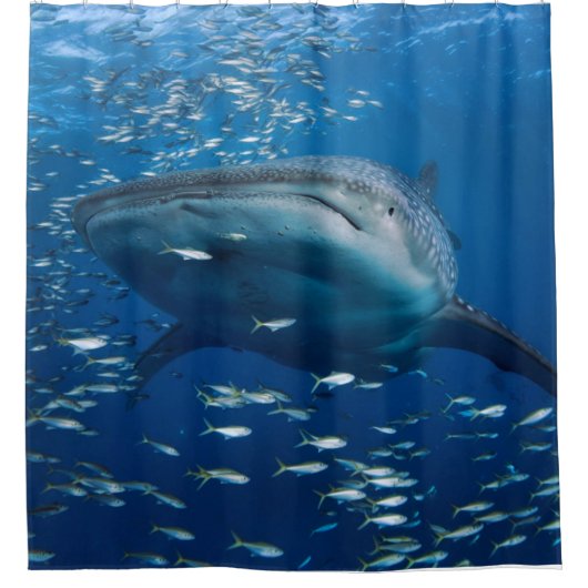 Whale Shark Duwer Vorhang (Vorderseite)