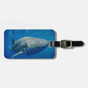 Whale Shark Gepäckanhänger