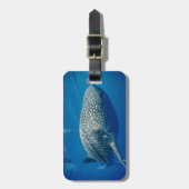Whale Shark Gepäckanhänger (Vorderseite vertikal)