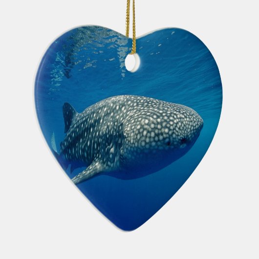 Whale Shark Keramik Ornament (Rechts)