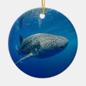 Whale Shark Keramikornament (Vorne)