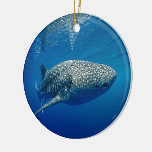 Whale Shark Keramikornament (Links)