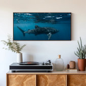 Whale Shark Nature Fotograpy Unterwasserwelt Poster