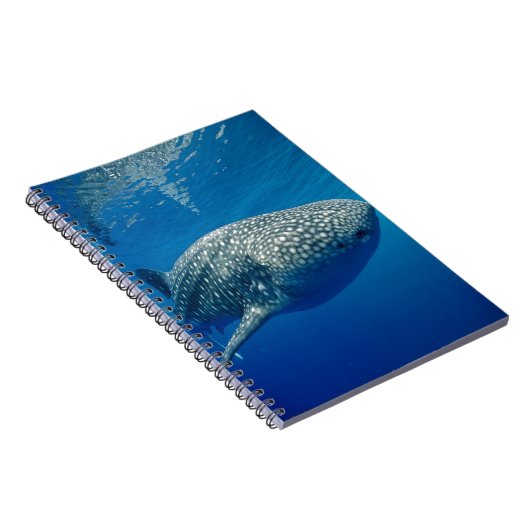 Whale Shark Notizblock (Rechte Seite)