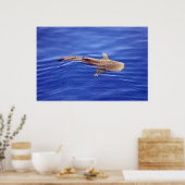 Whale Shark Poster (Küche)