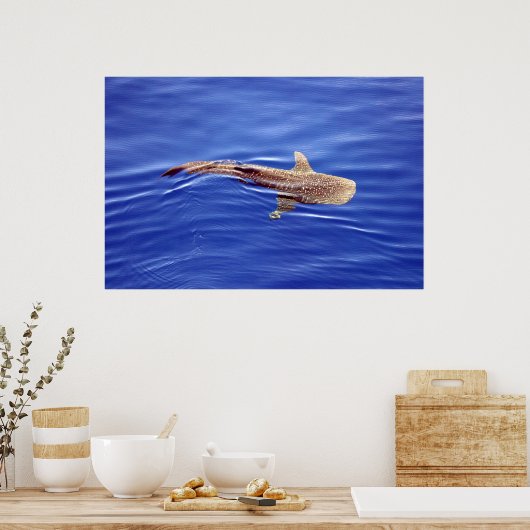 Whale Shark Poster (Küche)